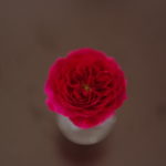 セット面にも薔薇飾っています。