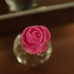 明日1月15日(月)と明後日1月16日(火)は、連休です。