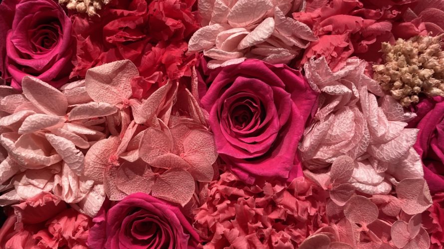 明日1月22日(月)は、定休日です。