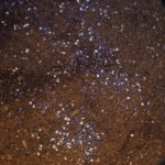 肥料を撒いたら