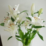 今日は定休日です。明日から営業してます。